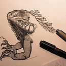 Iguana iguana. Un progetto di Belle arti e Illustrazione tradizionale di Arturo Blasco - 08.05.2017