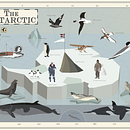 The Antarctic. Un projet de Illustration vectorielle de Pelopantón - 20.04.2017