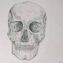 Dibujo Craneo. Un projet de Design graphique de Alejandro Benjamin Cortés Valdéz - 27.05.2017
