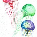 Mi Proyecto del curso: Técnicas modernas de Acuarela Ein Projekt aus dem Bereich Design von Clara Berretta - 27.05.2017