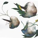 Ode to a delirious imagination. Traditional illustration project by Àngela Piéret - 06.04.2013