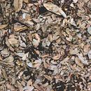 Summerautumnwinterspring. Un proyecto de Fotografía de Daniela Barrera Fernández - 12.06.2017