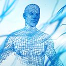 Digital Humans. 3D, Animation, Art Direction, Graphic Design, and Motion Graphics project by Melo - 06.19.2017