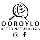 Gabinetes Naturales, terrarios con pequeñas escenas. Un progetto di Belle arti di León Felipe - 25.06.2017