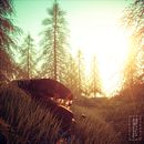 ~Santuario~    C4D + OCTANE RENDER. Een project van 3D van Dan LeÓn - 10.07.2017