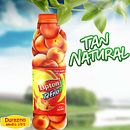 Prueba Lipton. Un projet de Direction artistique , et Webdesign de Gustavo Barahona - 12.07.2017