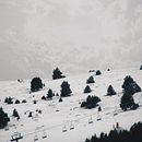 Nature. Un progetto di Fotografia di Adriana Atrio Albano - 12.05.2017