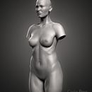 Practice torso woman. 3D, Artes plásticas, Cinema, Cinema, Vídeo e TV, Escultura, Infografia, e VFX projeto de carlos3d_r - 17.07.2017