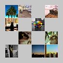 Proyecto - Revelado de archivos RAW con Lightroom. Een project van  Ontwerp, Fotografie y Fotografische postproductie van Pamela Fernández - 29.07.2017