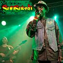 Rototom & Friends (Madrid, 2016). Un proyecto de Diseño, Diseño de iluminación y Fotografía de Alejandro Cerro Martin - Serrano - 12.04.2016