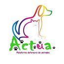 ACTÚA, Protectora de Animales (Ciudad Real, 2016). Un proyecto de Diseño y Fotografía de Alejandro Cerro Martin - Serrano - 25.07.2016