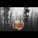Migraine issues. Un proyecto de Diseño de Pilar Bello - 12.07.2017