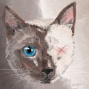 Pintura de gato. Un proyecto de Ilustración tradicional de Elisabeth García Naranjo - 05.08.2017