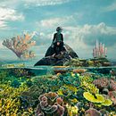 Vegetal Feeling. Un proyecto de Bellas Artes, Diseño, Fotografía y Retoque fotográfico de Juan Sebastián Díaz Sánchez - 10.08.2017
