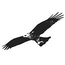 Cerveza SMACH. Een project van Animatie,  Br, ing en identiteit,  Art direction, Webdesign, Motion Graphics y Packaging van Diego Moreno - 21.08.2017