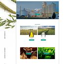 Website redesign | Biodiesel Bilbal. Un progetto di Web design e UX / UI di Miquel Martí Villalba - 28.08.2017
