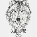 CANIS LUPUS. Un proyecto de Ilustración tradicional de miguel sastre - 30.08.2017