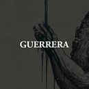 Guerrera | Fetitxe Ein Projekt aus dem Bereich Grafikdesign, Traditionelle Illustration und Werbung von Anthony Dexter - 04.02.2017