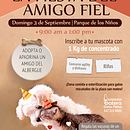 Fundación Gatera Doña Felisa. Un proyecto de Publicidad de Milen Sanmiguel - 06.09.2017