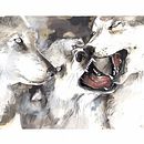 WILD. Fine Arts, Traditional illustration, and Painting project by Sara Bellés - 10.02.2017
