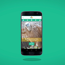 Zoo App. Animação projeto de Rodrigo Vigo - 10.08.2017