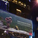 The North Face: concepto, gráfica y copy. Un progetto di Cop, writing, Direzione artistica e Pubblicità di María Castaño - 10.07.2017
