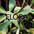 FLORA. Un proyecto de Fotografía de Javier Calvete García - 17.10.2017