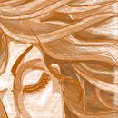 Caramel Face. Un proyecto de Dirección de arte, Diseño e Ilustración tradicional de Lore Muñoz Villanueva - 16.10.2017