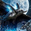 Travellers: Mi Proyecto del curso secretos del fotomontaje. Direção de arte, Design, Ilustração tradicional, e Retoque fotográfico projeto de Yorik Illescas - 20.10.2017