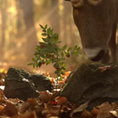 Thulé - VFX Final Project. Un proyecto de 3D, Animación y VFX de Pau Garcia Guzmán - 23.07.2016