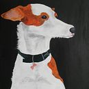 Animales Ein Projekt aus dem Bereich Bildende Künste, Design von Figuren, Traditionelle Illustration und Malerei von Eva Núñez Rodríguez - 26.10.2017
