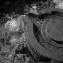Fotografía en Blanco y negro Ein Projekt aus dem Bereich Fotografie von Jose Nieto Villalba - 05.11.2017