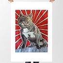 Toro  ilustración tradicional. Un proyecto de Ilustración tradicional de Paco Muriel - 09.11.2017