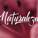 Lettering Naturaleza. Lettering projeto de Stanley Garcia - 16.11.2017