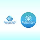 BlueLotusInsights. Projekt z dziedziny Br, ing i ident i fikacja wizualna użytkownika Isis Torres - 25.10.2016