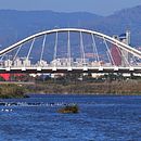 Delta del Llobregat Ein Projekt aus dem Bereich Fotografie von Monica Moreno - 24.11.2017