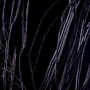 Otras miradas. Un projet de Beaux Arts , et Photographie de Jony Sanchez Avila - 28.11.2015