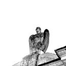 Cementerio. Escultura, e Fotografia projeto de Daniel Santiana - 30.11.2017