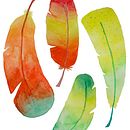 Plumas . Design grafic de Ceci O'Conor - 12.05.2017