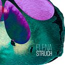 Cebra. Un proyecto de Bellas Artes, Diseño, Ilustración tradicional y Pintura de Elena Struch - 26.01.2018