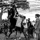 Los Caixers y Cavallers. Fotografia projeto de Carlos Guardado Fuentes - 27.12.2017