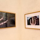 Comisariado del área de fotografía en el festival SANfest con la asociación AFAYA (2017). Een project van  van Antonio Carralón - 29.12.2017