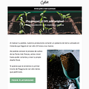 Inocentada_Newsletter. Een project van Cop y writing van Ana Ruiz - 10.04.2017