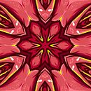 Rose Vector Collection. Un projet de Design graphique, Illustration vectorielle , et Motion design de Domingo Hernández Vaquero - 02.01.2018