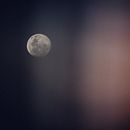Algunas fotografías . Fotografia projeto de Mati Haggenmiller - 04.01.2018