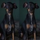 Photography, Retouching and Image Editing. Projekt z dziedziny  Reklama, Design,  Sztuki piękne, Projektowanie oświetlenia i Fotografia użytkownika Ivan Martinez - 07.01.2018