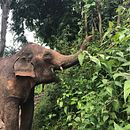 Thailand. Un projet de Design graphique de Marc Ballart Germà - 11.01.2018