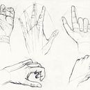Ilustración de anatomía. Traditional illustration project by Jose Blasco Pitarch - 01.13.2018