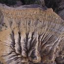 Organos naturales en Catalunya. Een project van  Video van Marc Barbier - 17.01.2018