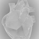 Glass Feelings. Un proyecto de 3D de Oscar Gil.Z - 17.01.2018